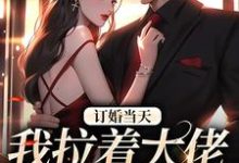 小说完整版《订婚当天，我拉着大佬去领证》免费阅读-推书机