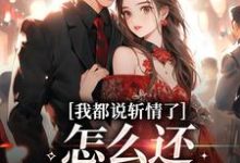 完结版《我都说斩情了，怎么还让我相亲》章节目录在线阅读-推书机