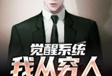 完结版《觉醒系统：我从穷人变富豪》章节阅读-推书机