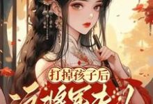 完整版《打掉孩子后这将军夫人谁爱当谁当》小说免费阅读-推书机