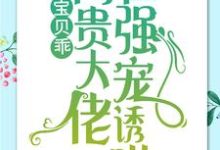 简以宁陆怀瑾小说《宝贝乖：高贵大佬在强宠诱哄》在线阅读-推书机