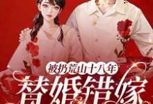 许辛苑黎响完整版《被扔荒山十八年，替婚错嫁大首长》小说免费阅读-推书机