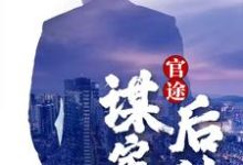 周严陆嘉琪完整版《官途：谋定而后动》小说免费阅读-推书机