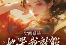 《觉醒系统：她哭我就能获得灵力》小说章节列表免费试读，陆羽上官玉凰小说在线阅读-推书机