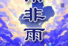 江小雨殷少华完整版《雨非雨》小说免费阅读-推书机