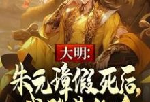 小说《大明：朱元璋假死后，我登基称帝》完整版章节免费阅读-推书机