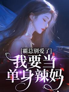 完结版《霸总别爱了，我要当单身辣妈》免费阅读