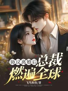 林深小说完整版《协议离婚后，总裁燃遍全球》免费阅读