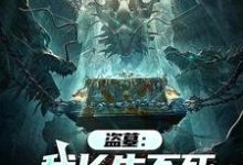 小说完整版《盗墓：我长生不死，墓主都是小辈》免费阅读-推书机