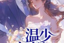 完结版《温少宠宠妻上天》章节阅读-推书机