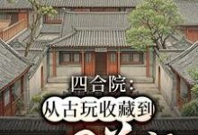 小说《四合院：从古玩收藏到世界首富》在线章节阅读-推书机