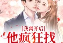 上官沁傅启博完整版《我离开后，他疯狂找我的替身》小说免费阅读-推书机