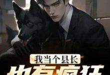 完结版《我当个县长也有疯狂私生饭？》章节目录在线阅读-推书机