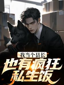 完结版《我当个县长也有疯狂私生饭？》章节目录在线阅读