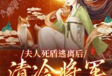 完结版《夫人死盾逃离后，清冷将军发了疯》免费阅读-推书机