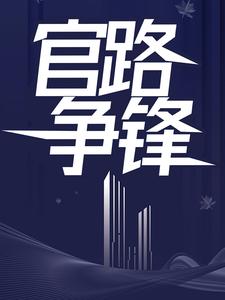 官路争锋小说阅读，官路争锋完结版