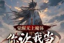 小说完整版《觉醒无上魔体，你让我当正道神子》免费阅读-推书机