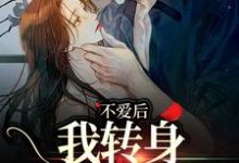 许南夕小说完整版《不爱后，我转身缠上霸总》免费阅读-推书机