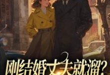 丁遥香陆舰完整版《刚结婚丈夫就溜？姐真不吃人！》小说免费阅读-推书机