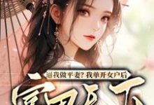 《逼我做平妻？我单开女户后富甲天下》全集免费在线阅读（薛相宜）-推书机